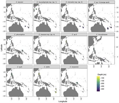 Exploring the Phylogeny and Species Diversity of Chelidoperca (Teleostei: Serranidae) From the Western Pacific Ocean by an Integrated Approach in Systematics, With Descriptions of Three New Species and a Redescription of C. lecromi Fourmanoir, 1982